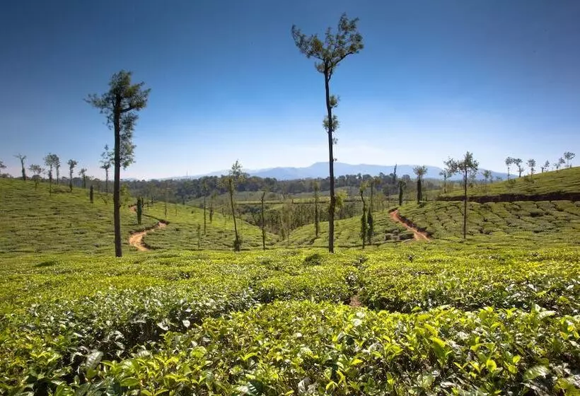 ホテル Ama Plantation Trails , Coorg