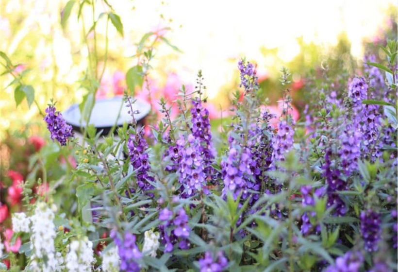 בית מלון כפרי Four Seasons Inn Gubei Water Town