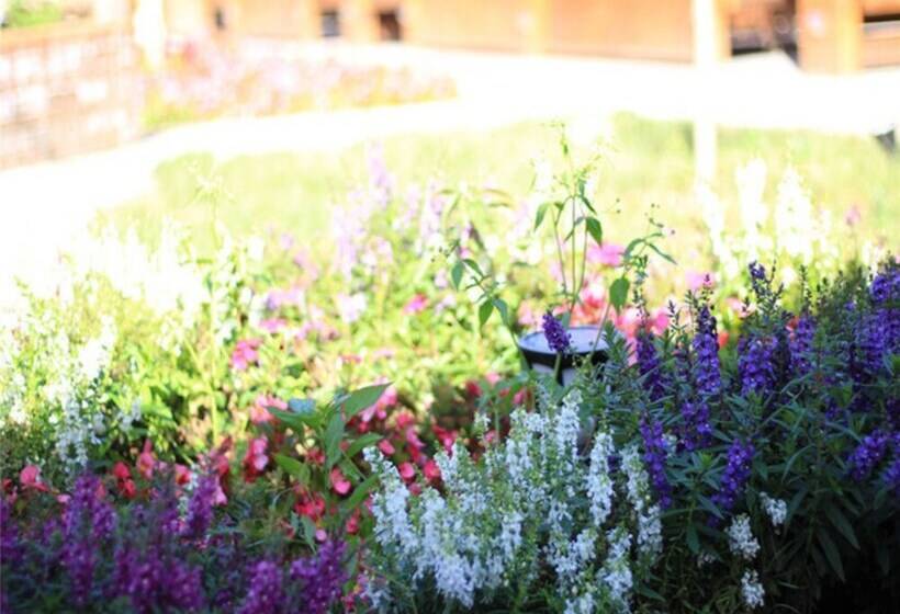 בית מלון כפרי Four Seasons Inn Gubei Water Town