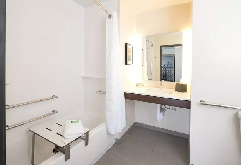 Hotelli Holiday Inn   Kalamazoo West, An Ihg