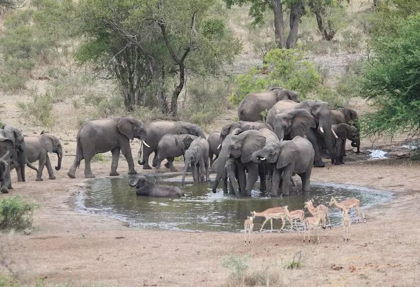 Hotelli Makumu Private Game Lodge