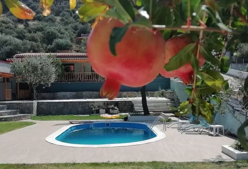 هتل Marti Resort