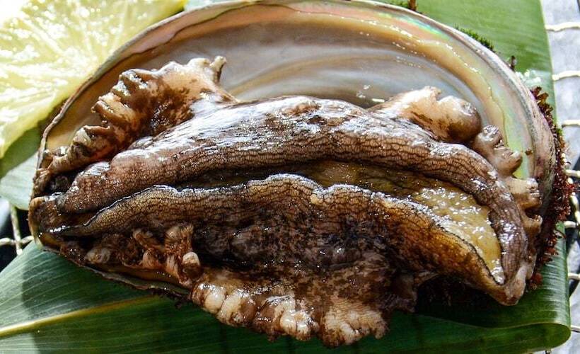 Отель Ryokan Kaikoukan