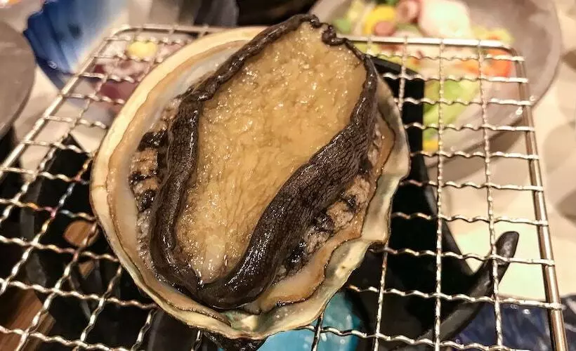 ホテル Ryokan Kaikoukan