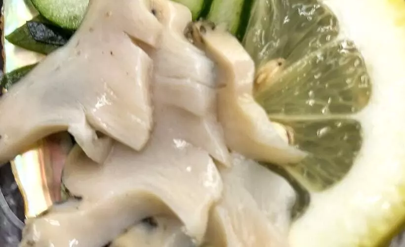 ホテル Ryokan Kaikoukan