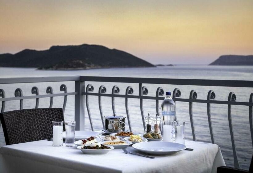 Bed and Breakfast No37