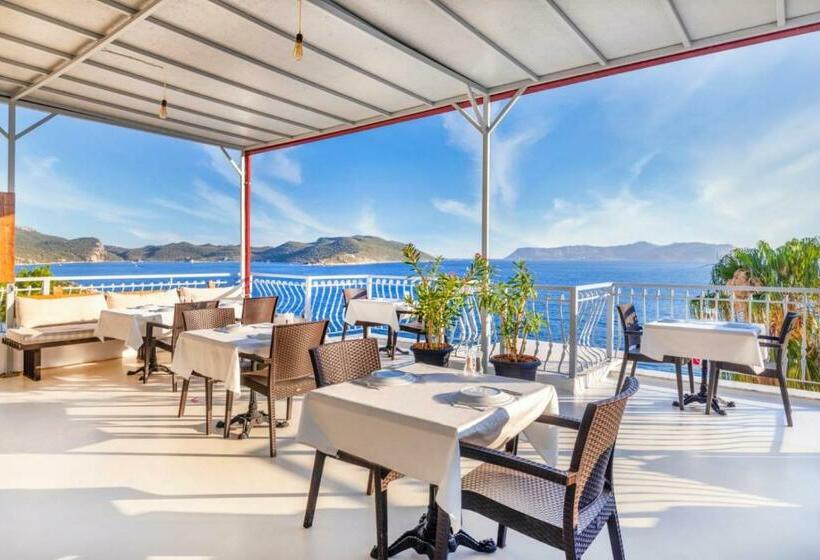 Bed and Breakfast No37