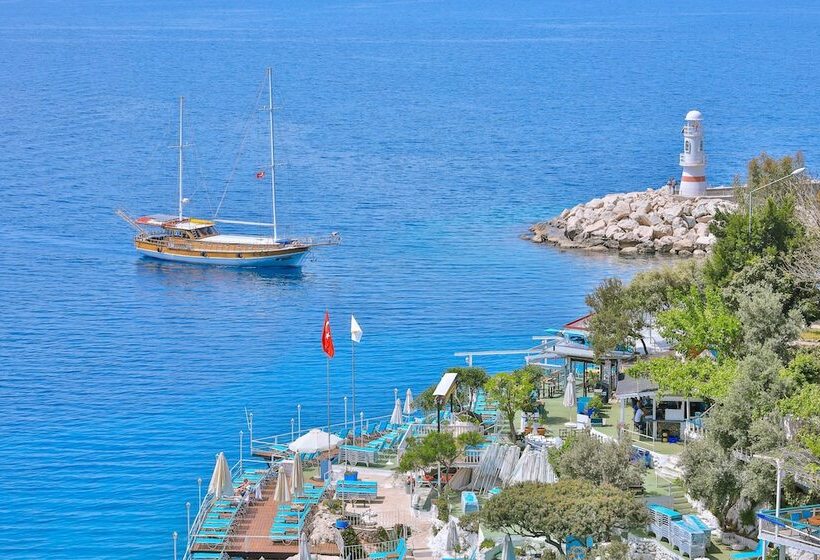 Bed and Breakfast No37