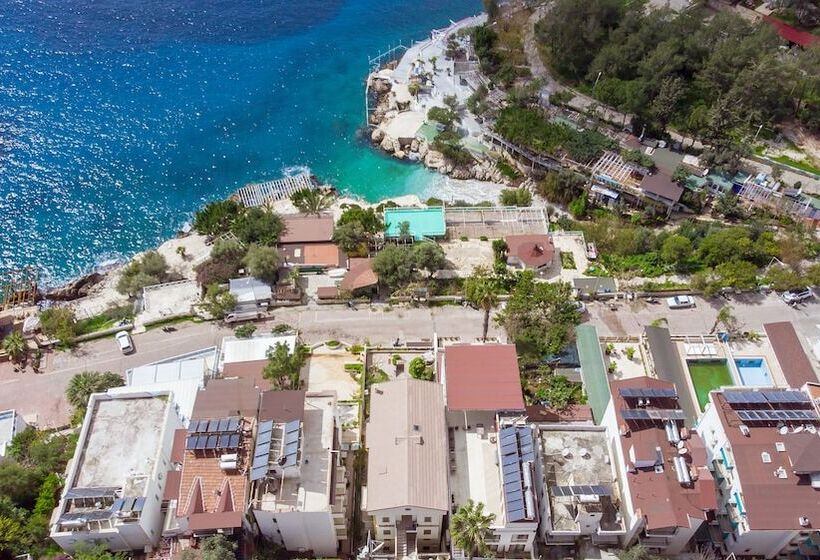 Bed and Breakfast No37