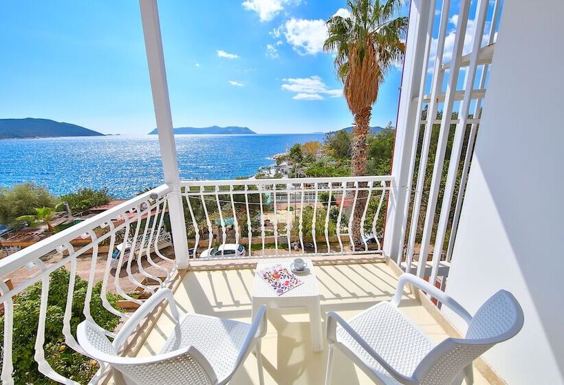 Bed and Breakfast No37