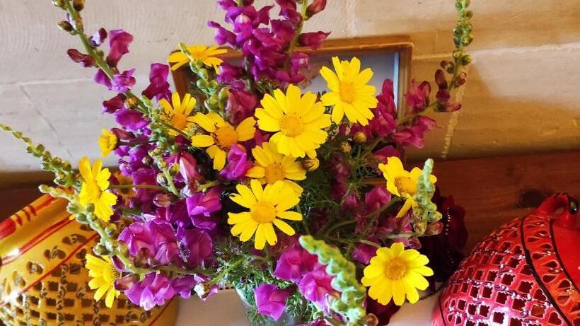 Gizimina B&b By Verosole