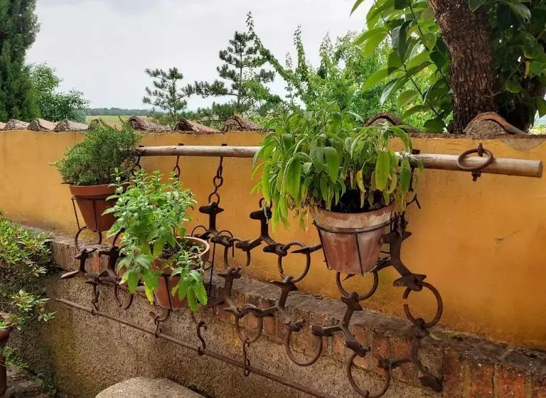 簡易ホテル Agriturismo Il Colle