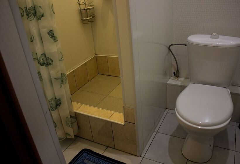 פונדק U Svetlany