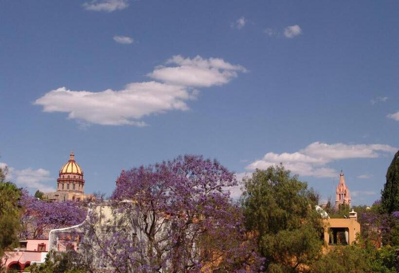 فندق Casa Don Quijote