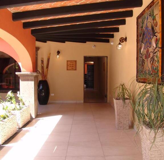 فندق Casa Don Quijote