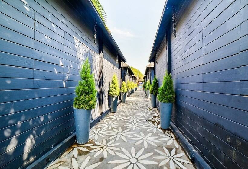 בית מלון כפרי Casa Playa Comforts