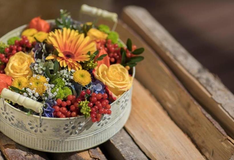 בית מלון כפרי Kronenhof