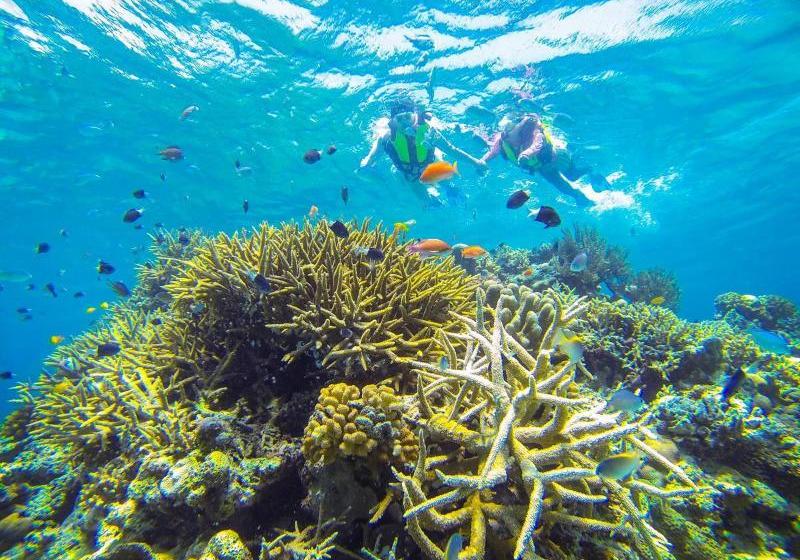 فندق Nirakanai Iriomotejima