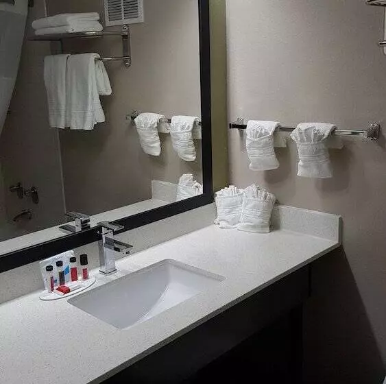 ホテル Baymont By Wyndham Grand Rapids Near Downtown