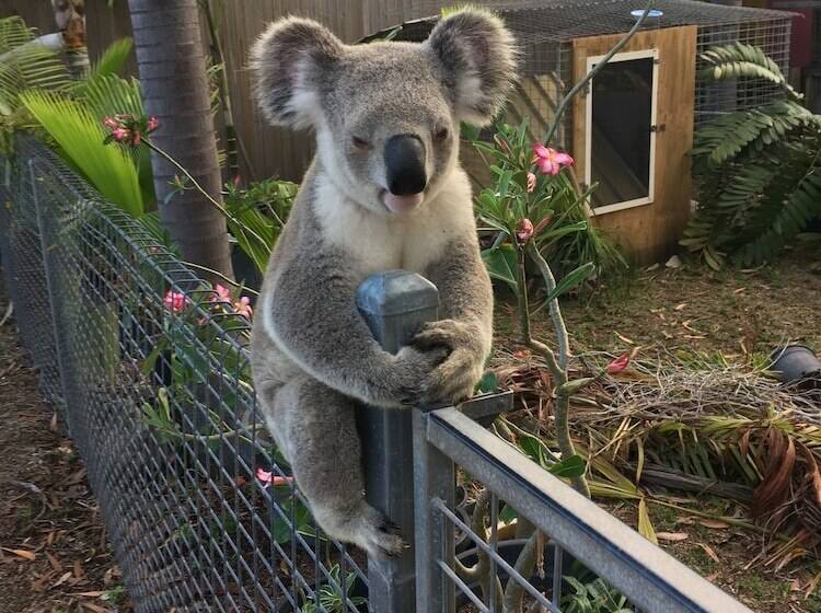 Executive Properties In North Ward Townsville And On Magnetic Island