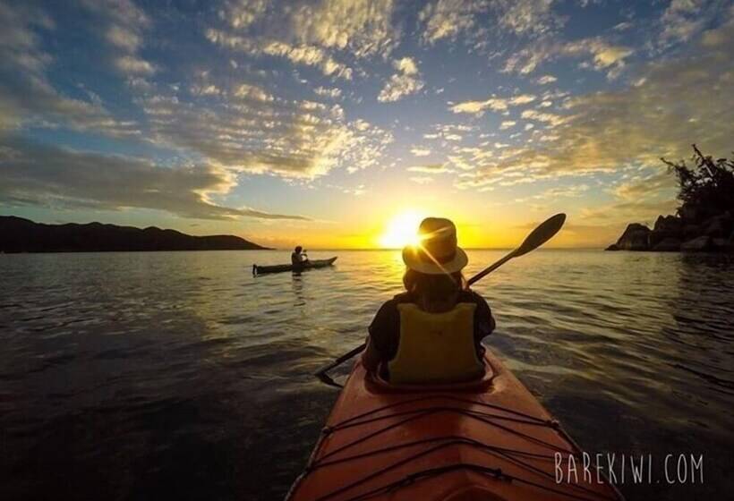 Executive Properties In North Ward Townsville And On Magnetic Island