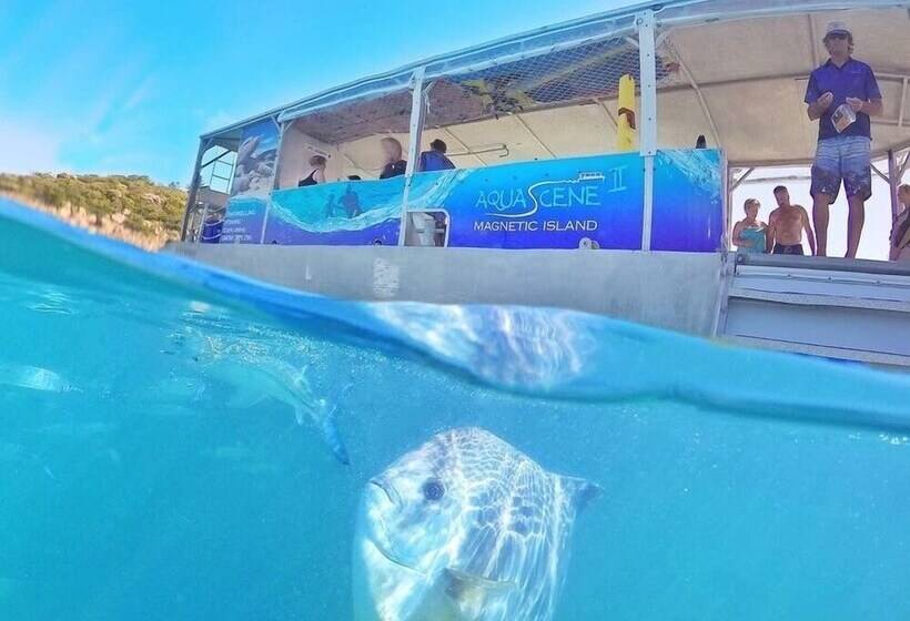 Executive Properties In North Ward Townsville And On Magnetic Island