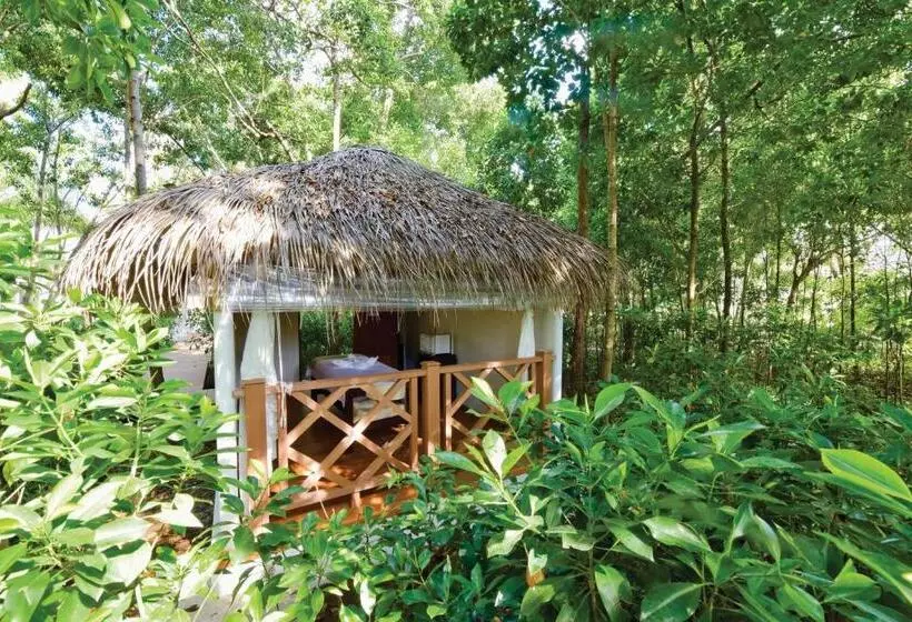 هتل Dreamland Maldives Resort