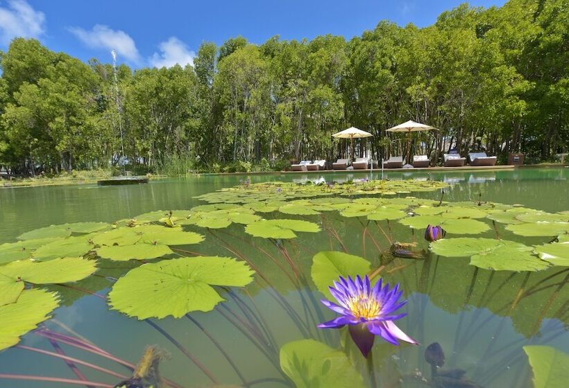 هتل Dreamland Maldives Resort