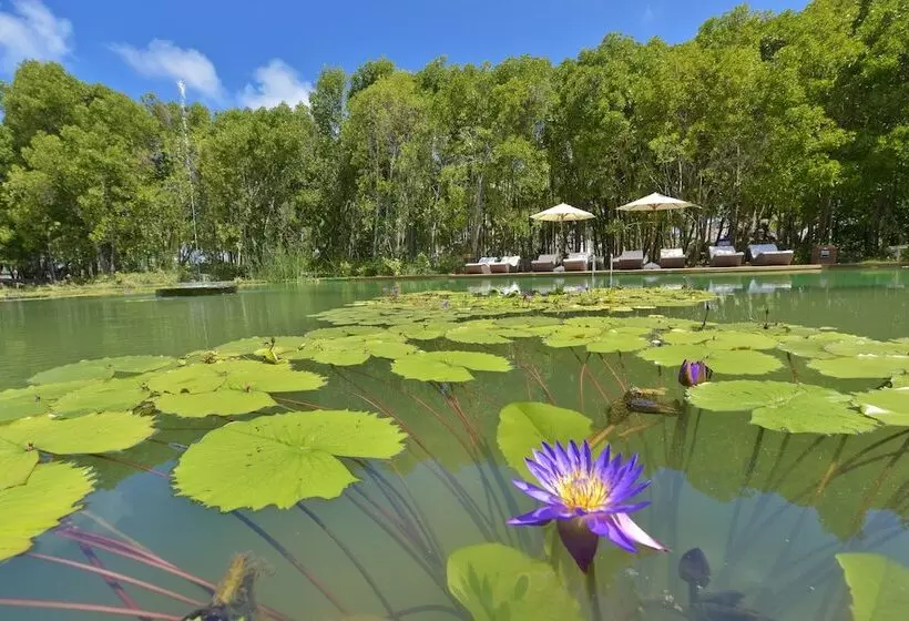 هتل Dreamland Maldives Resort