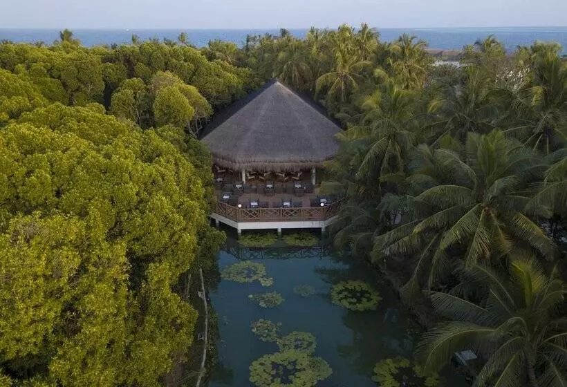 هتل Dreamland Maldives Resort