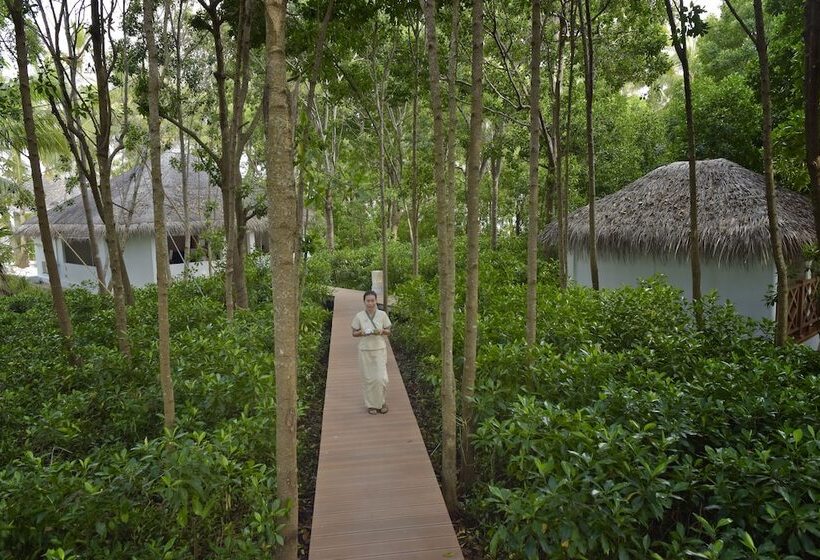 هتل Dreamland Maldives Resort