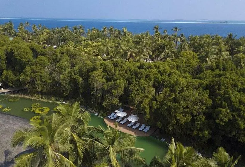 هتل Dreamland Maldives Resort