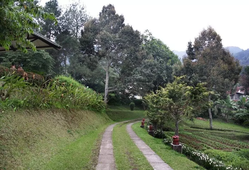 هتل Oyo 209 Permata Hati Resort & Organic Farm