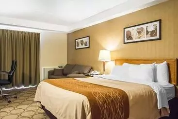 فندق Comfort Inn