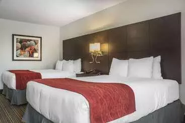 Szálloda Quality Inn