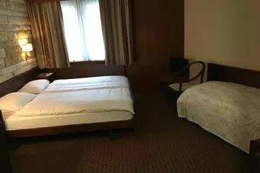 Hotel Restaurant La Porte D Octodure