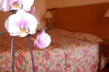 Hotel Hôtel Aletti Palace