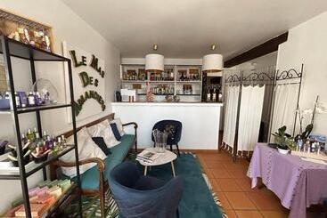 Отель Le Mas Des Amandiers