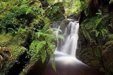 Hotelli The Creggans Inn