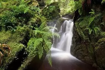 Hotel The Creggans Inn