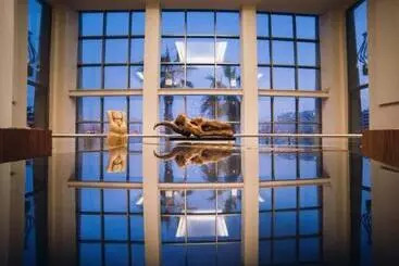 هتل Cavalieri Art