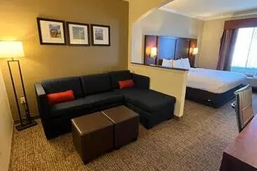 فندق Comfort Suites Texas Ave
