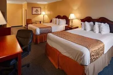 汽车旅馆 Best Western Forest Inn