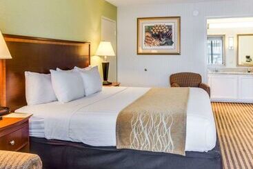 ホテル Clarion Inn