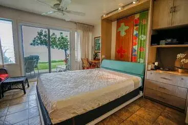 Apartamenty turystyczne Kapa A Sands #10 Direct Oceanfront Studio Kauai