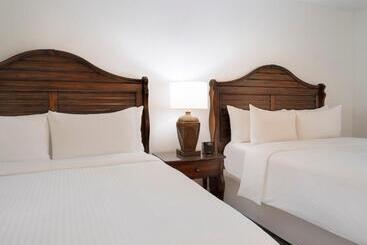 Saddlebrook Golf Resort & Spa Tampa North Wesley Chapel