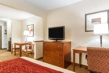 酒店 Quality Inn & Suites