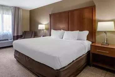 Отель Comfort Inn Moline  Quad Cities