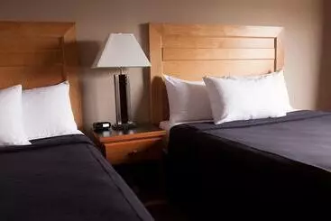 Royal Hotel West Edmonton, Trademark Collection By Wyndham