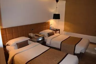 בית מלון כפרי Palace Heights